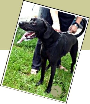 Bild : Balu
