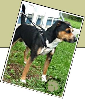 Bild : Benny