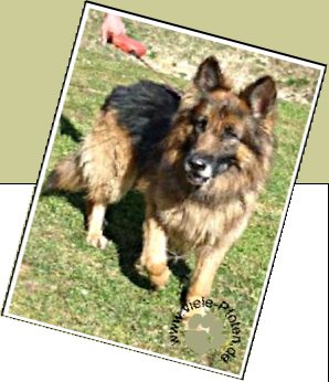 Bild : Charly