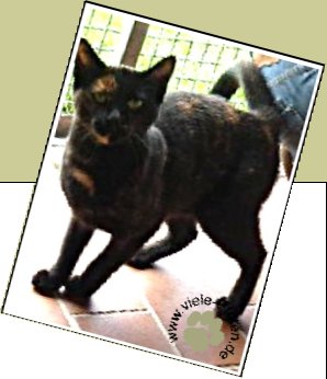 Bild : Edwina