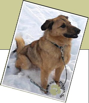 Bild : Jacky