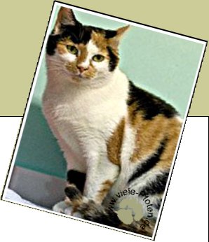 Bild : Johanna