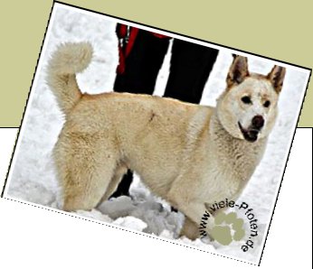 Bild : Lucky