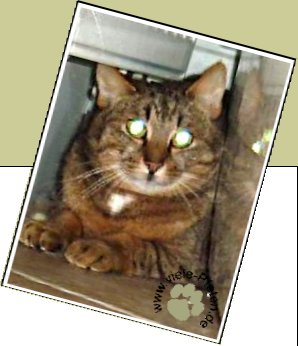 Bild : Lucky