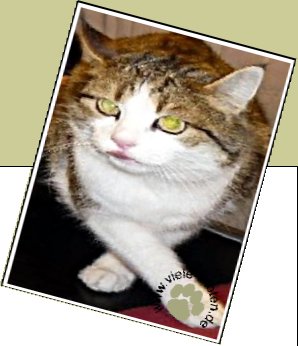 Bild : Lucy