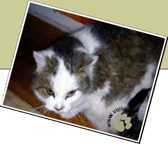 Bild : Minka