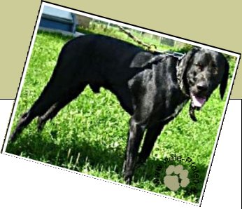 Bild : Nero