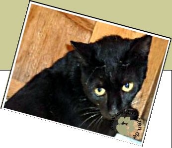 Bild : Tyron