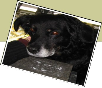 Bild : Philipe(Phil)