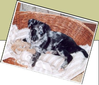 Bild : Janusch