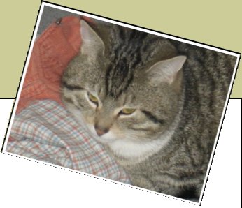 Bild : Norbert