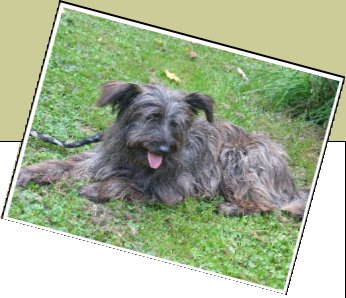 Bild : Nickel (Piccolo)