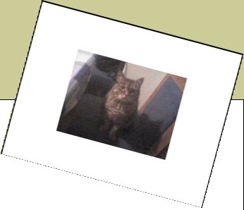 Bild : schila h&ouml;rt auch auf schili