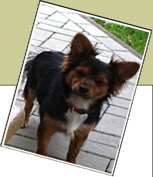 Bild : Filipo (Flipi)