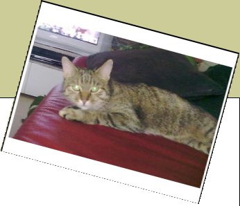 Bild : Posidonia / Posi / Lina / Hexe